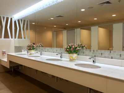 Elegant Vanity and Countertops